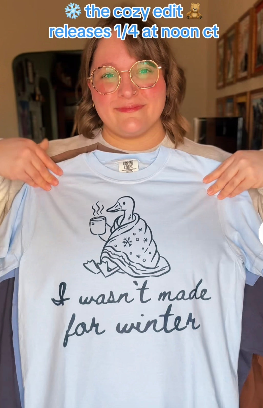 RTS I Wasn’t Made For Winter Goose T-shirt