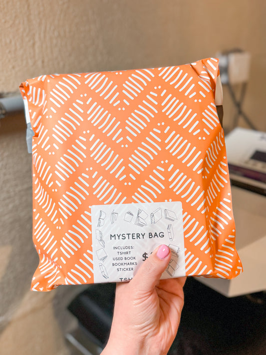Book Mystery Bag - READ DESCRIPTION
