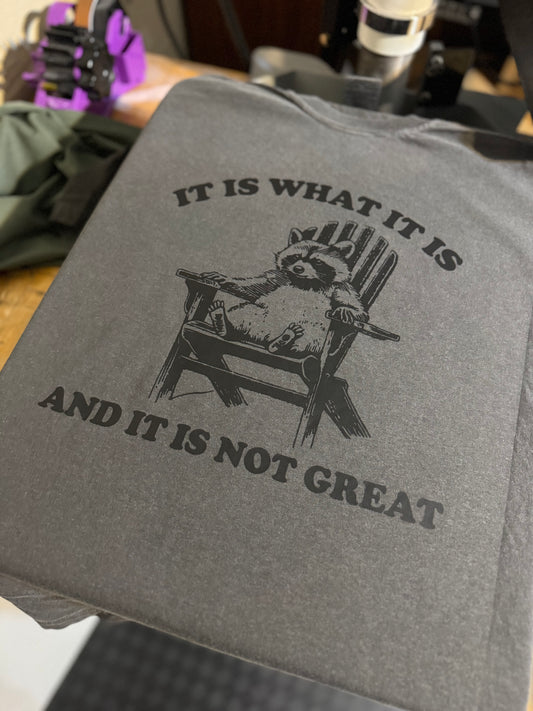 It Is What It Is Graphic T-Shirt or Sweatshirt