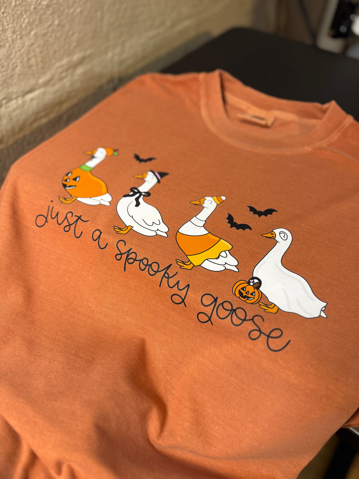 Just A Spooky Goose
