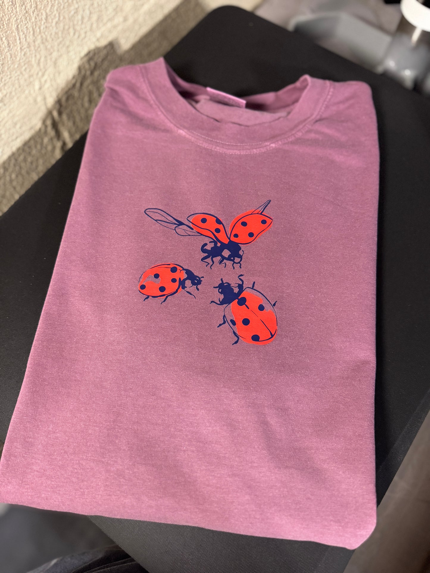 Ladybug T-Shirt