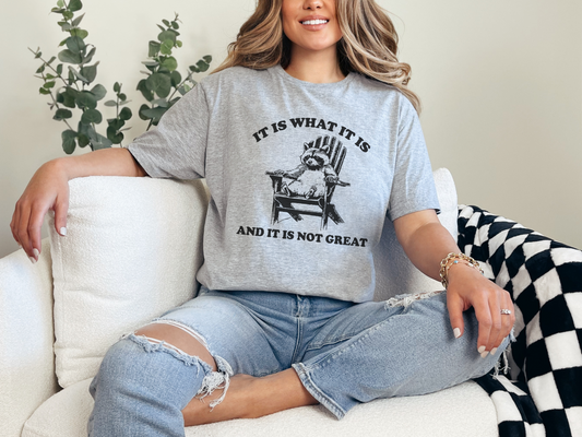 It Is What It Is Graphic T-Shirt or Sweatshirt