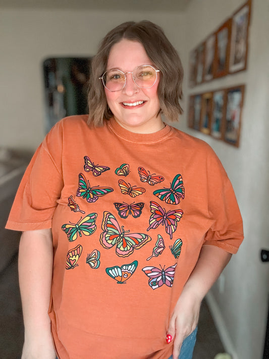Colorful Butterflies