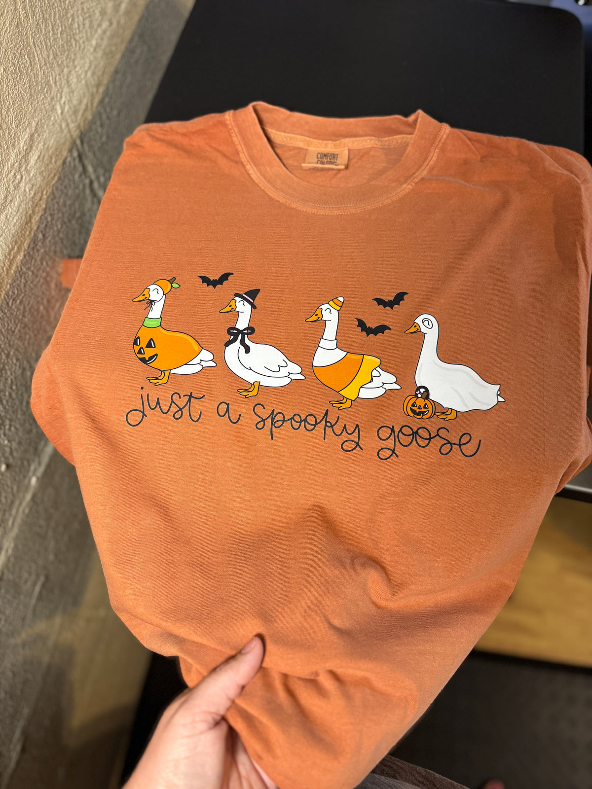 Just A Spooky Goose
